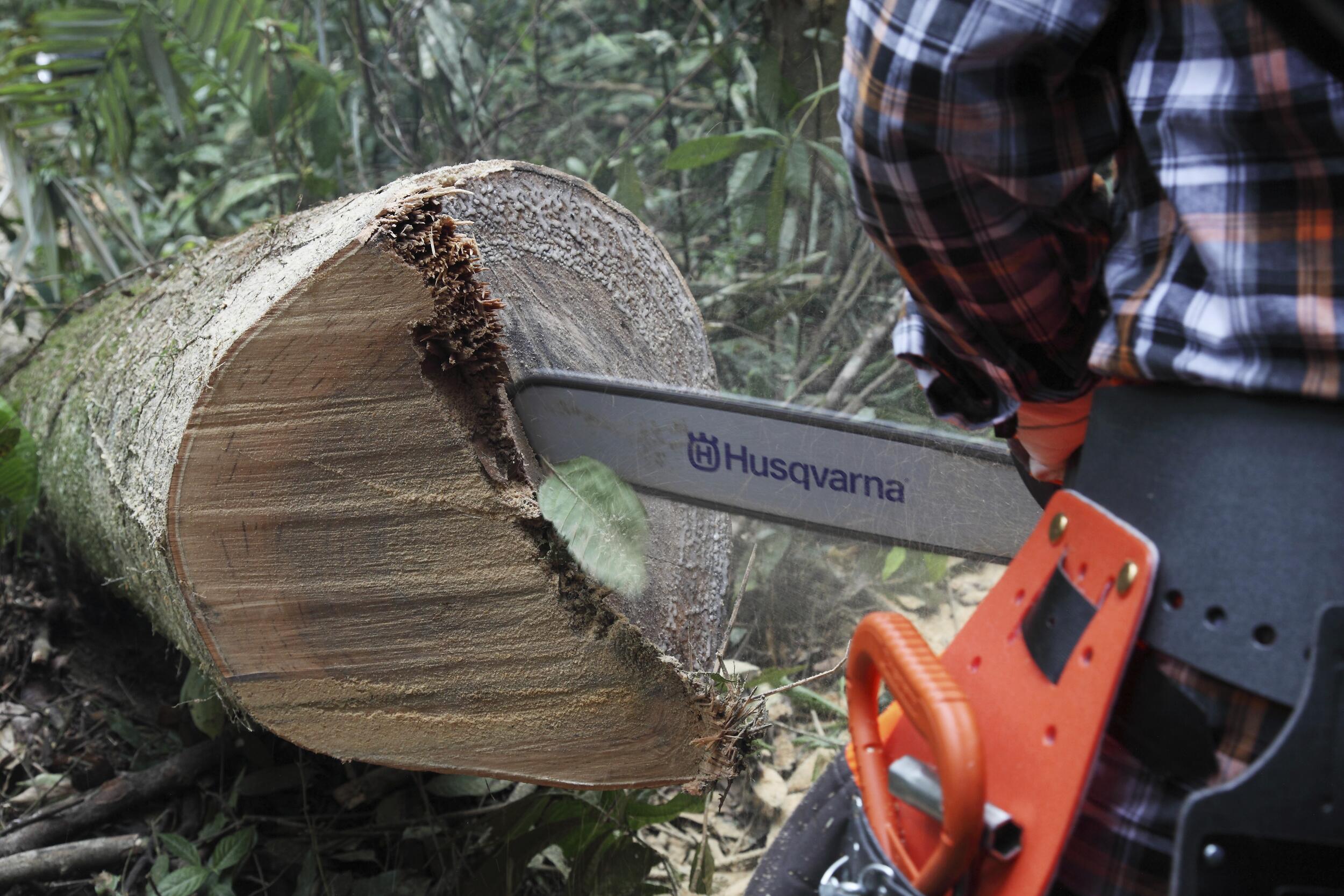 Husqvarna 365 X-Torq