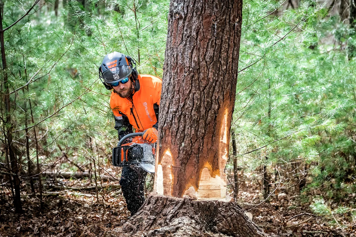 Lanț X-CUT C85 Chisel 3/8” 1.5mm | 56DL, 38cm / 15"