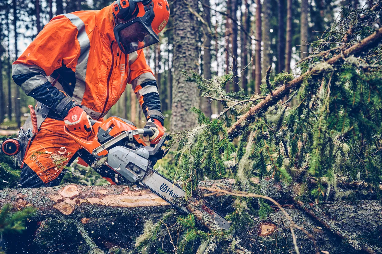 Husqvarna 562 XP® Mark II